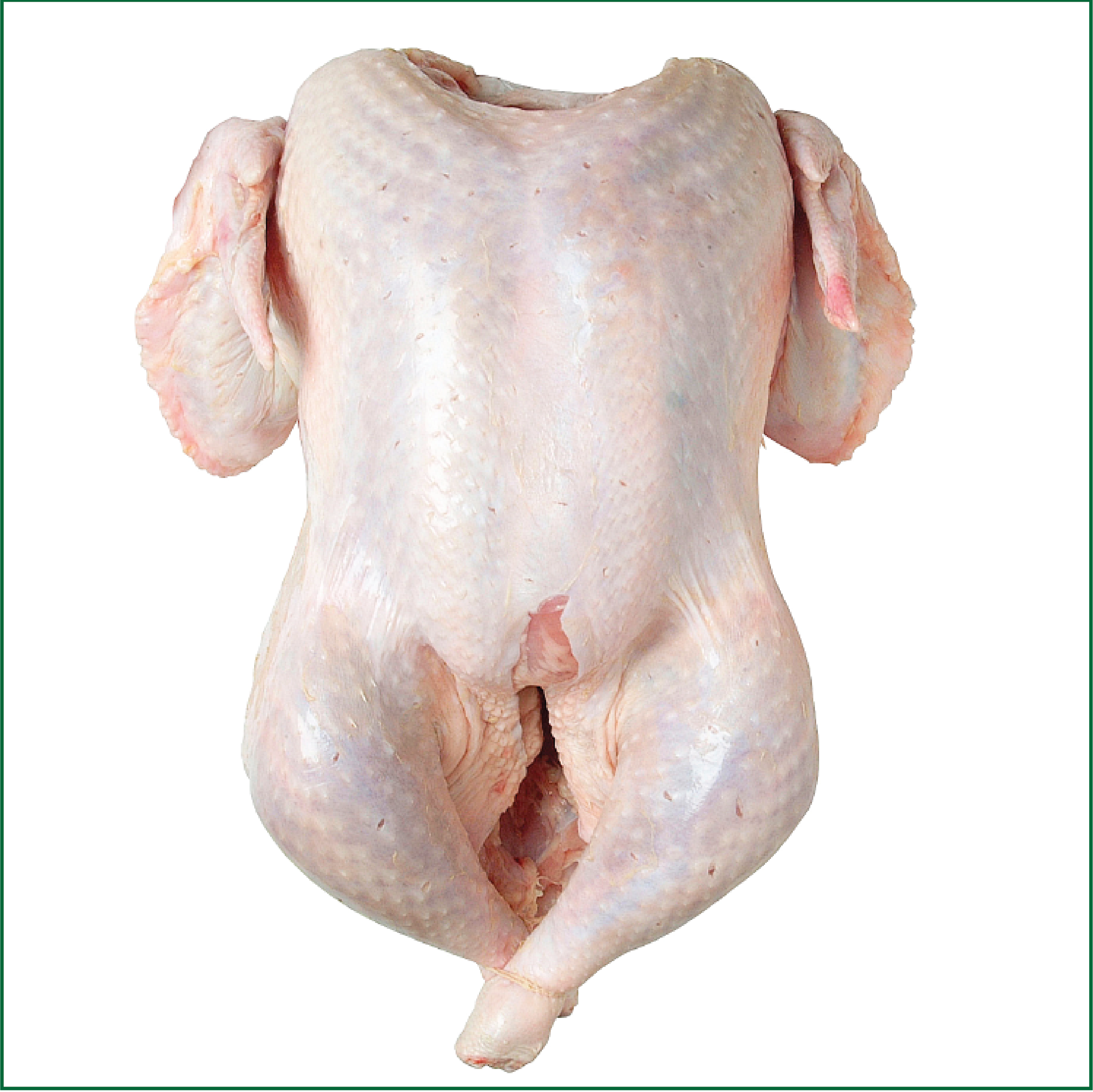 Whole-Turkey